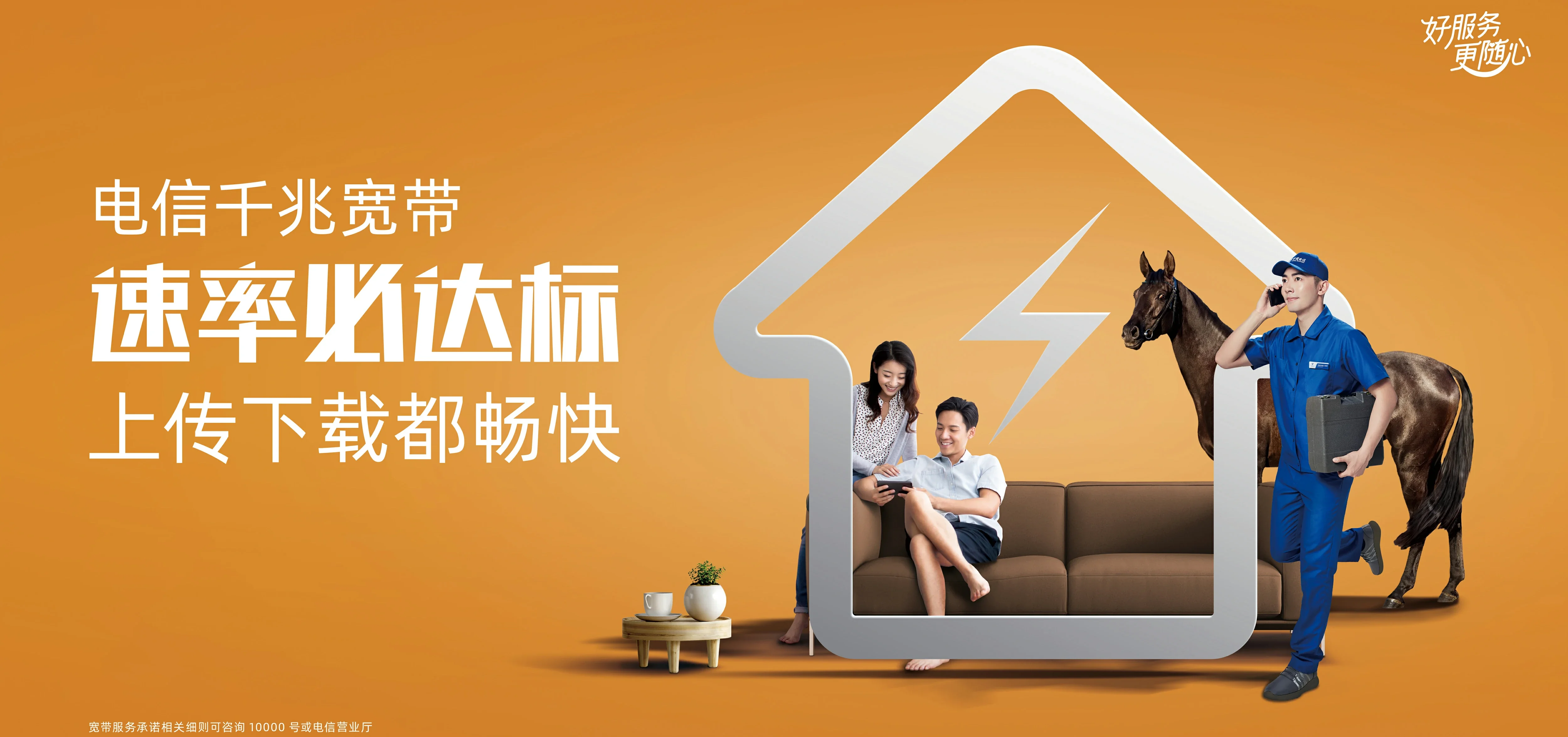 中国电信 塔洋电信宽带 宽带套餐